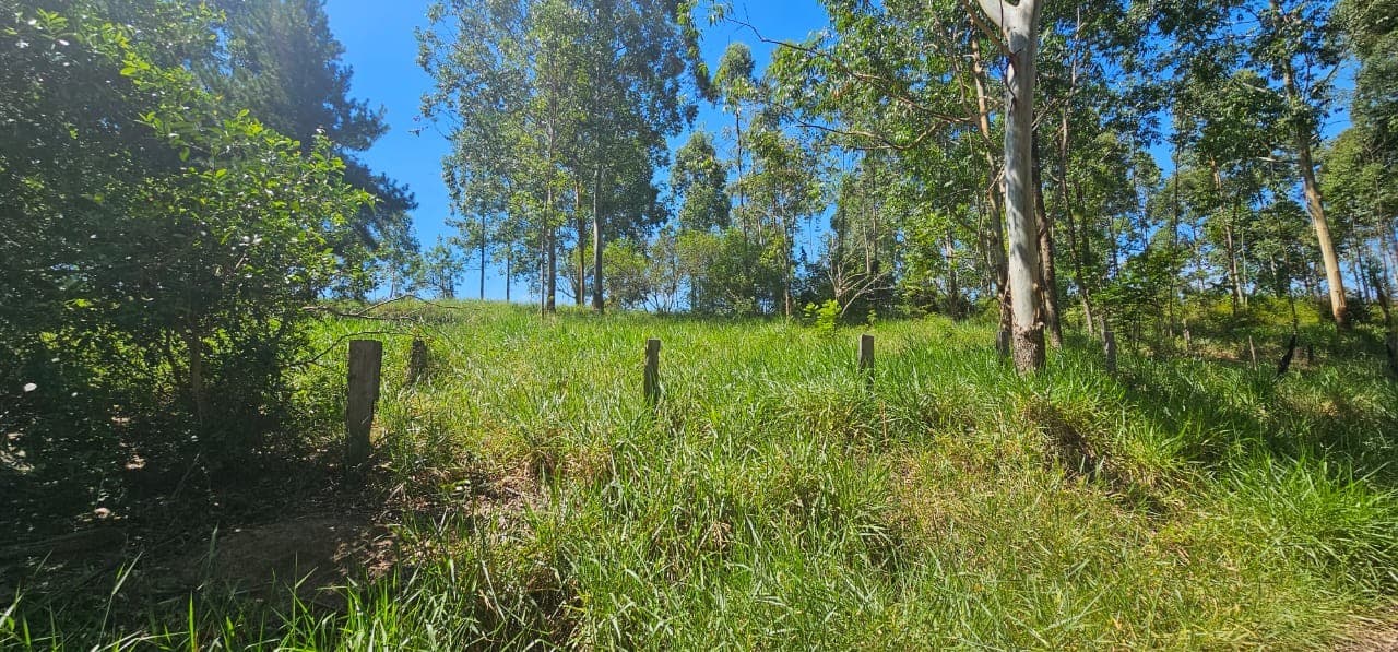 Foto 1 de 11: Terreno em leilão em São Sebastião Do Caí - RS — TERRENO COM ÁREA DE 3.050,00m² DO LOTE 5 QUADRA D DO PARQUE CAMPRESTRE