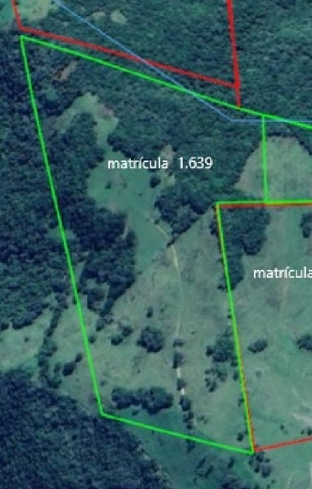Foto 5 de 6: Imóvel em leilão em Pinhal Da Serra - RS — ÁREA DE 202.729,00m² NA CIDADE DE PINHAL DA SERRA/RS