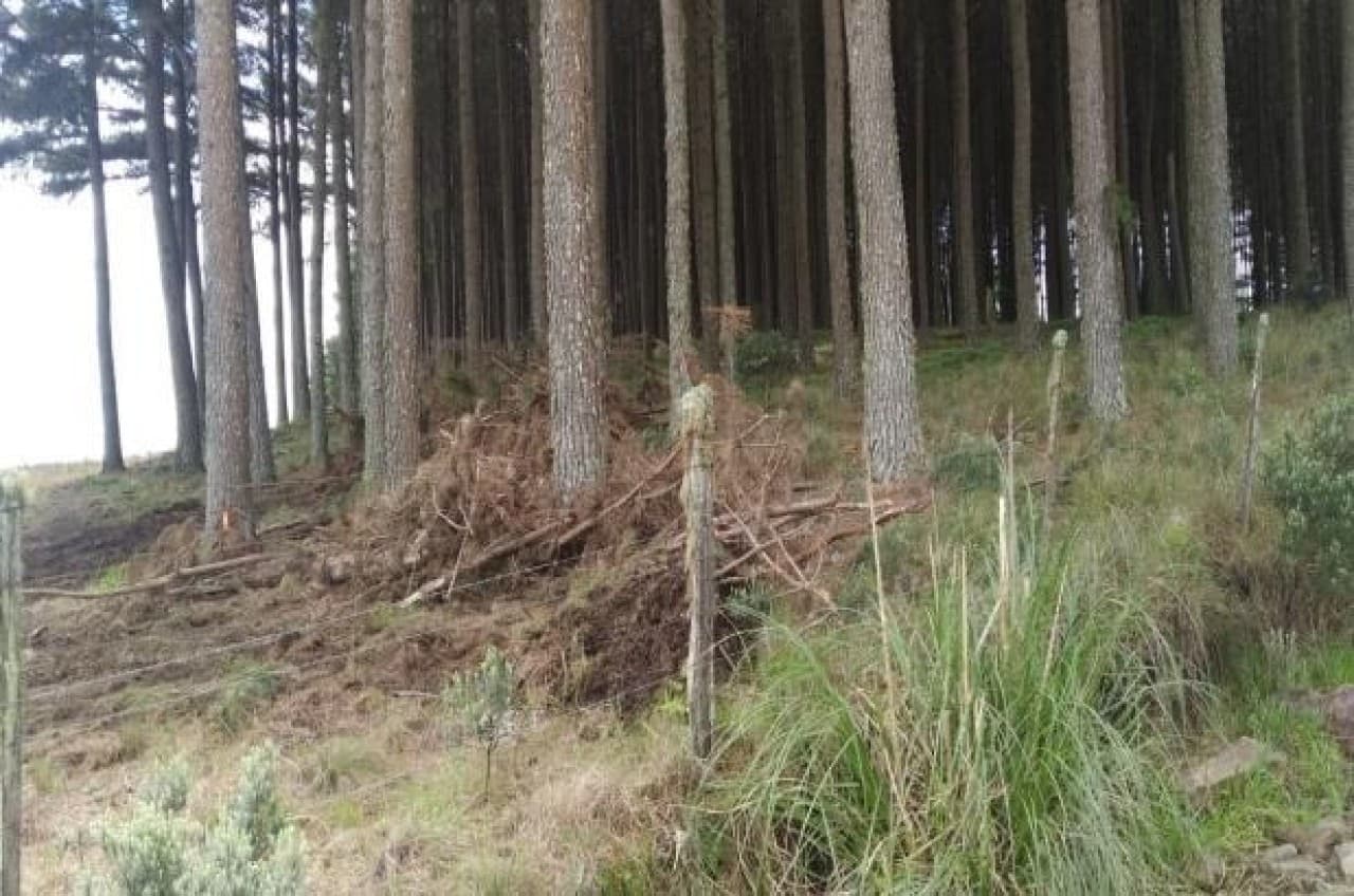 Foto 13 de 26: Terreno em leilão em Cambará Do Sul - RS — TERRENO COM ÁREA DE 1.388.781,00m² EM CAMBARÁ DO SUL/RS