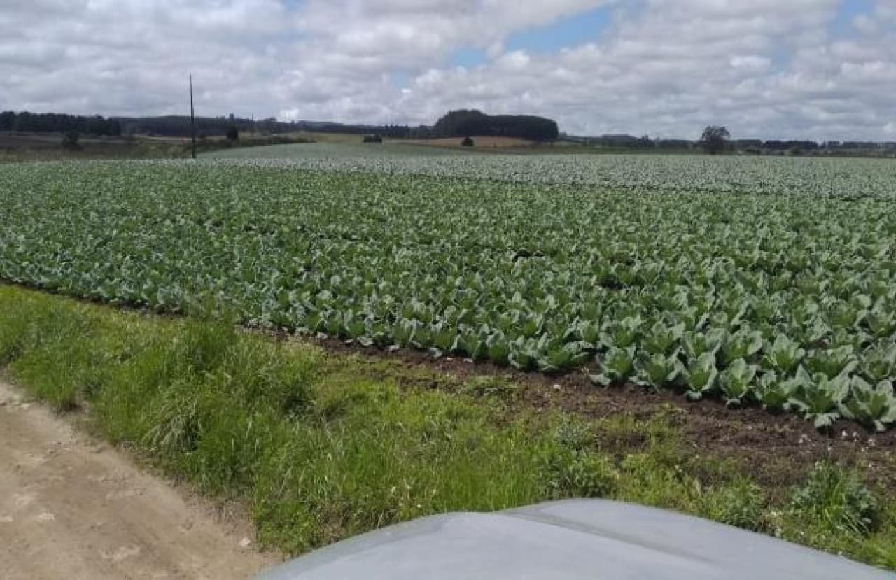 Foto 12 de 26: Terreno em leilão em Cambará Do Sul - RS — TERRENO COM ÁREA DE 1.388.781,00m² EM CAMBARÁ DO SUL/RS