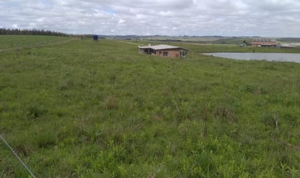 Foto 7 de 26: Terreno em leilão em Cambará Do Sul - RS — TERRENO COM ÁREA DE 1.388.781,00m² EM CAMBARÁ DO SUL/RS