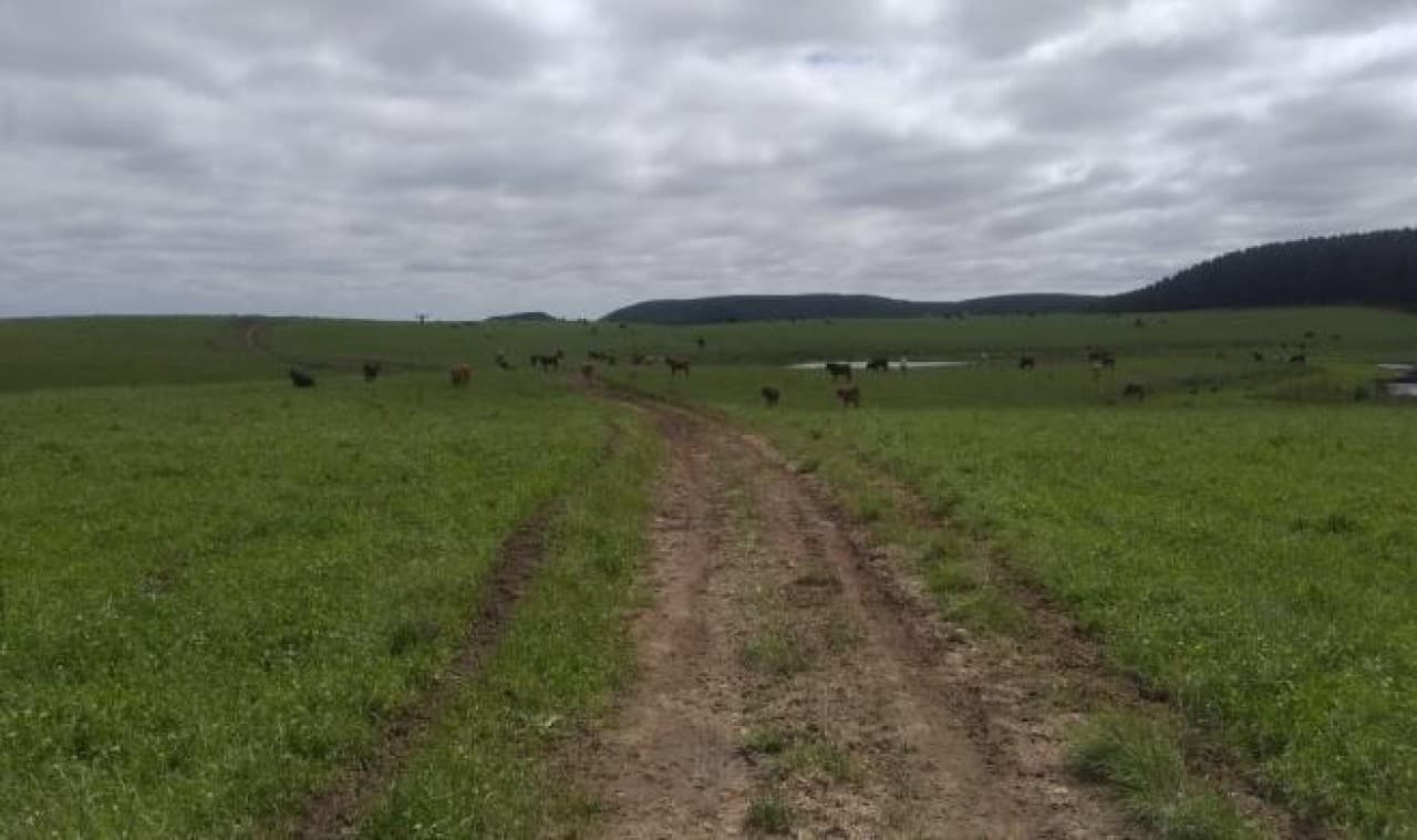 Foto 2 de 26: Terreno em leilão em Cambará Do Sul - RS — TERRENO COM ÁREA DE 1.388.781,00m² EM CAMBARÁ DO SUL/RS