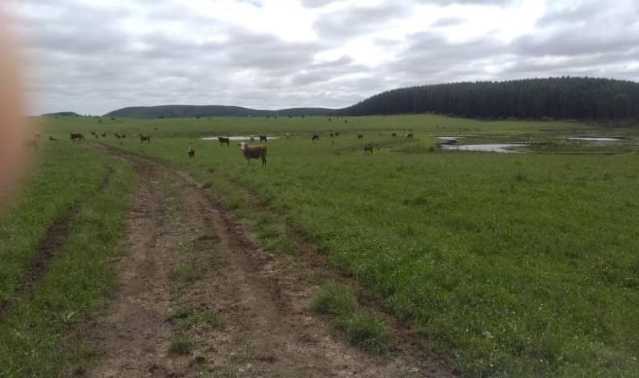 Foto 4 de 26: Terreno em leilão em Cambará Do Sul - RS — TERRENO COM ÁREA DE 1.388.781,00m² EM CAMBARÁ DO SUL/RS