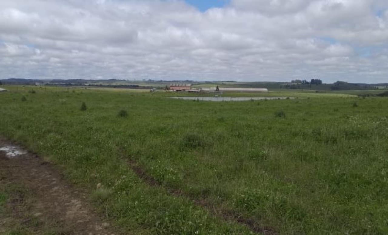 Foto 9 de 26: Terreno em leilão em Cambará Do Sul - RS — TERRENO COM ÁREA DE 1.388.781,00m² EM CAMBARÁ DO SUL/RS
