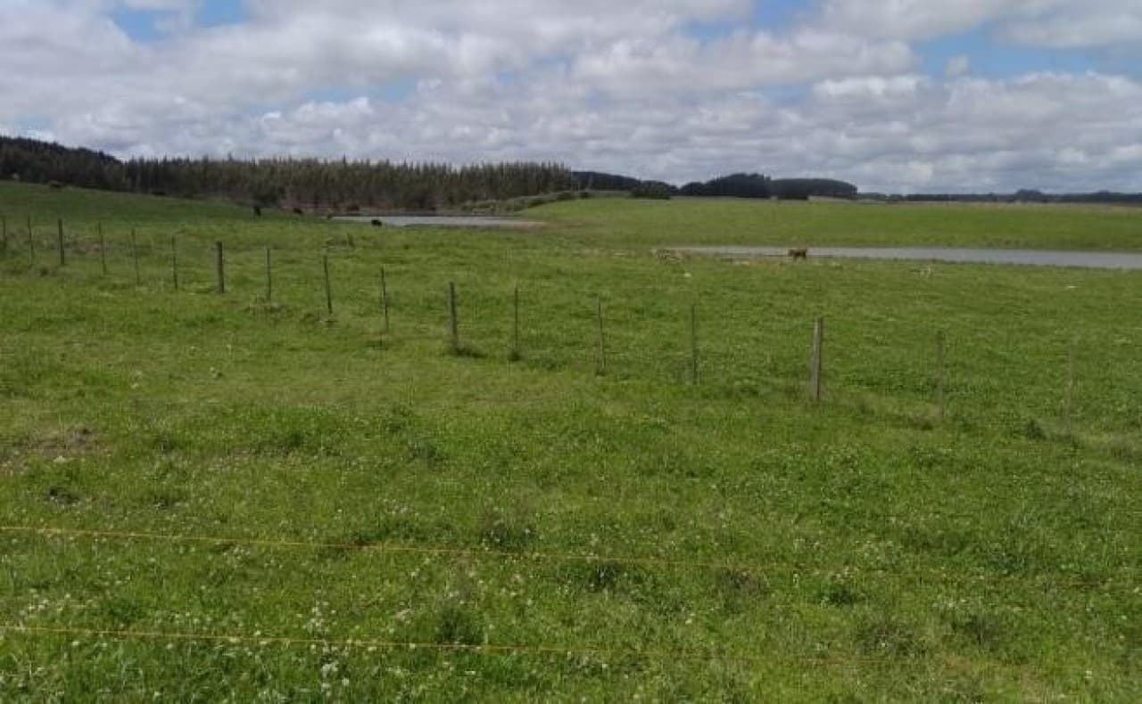 Foto 5 de 26: Terreno em leilão em Cambará Do Sul - RS — TERRENO COM ÁREA DE 1.388.781,00m² EM CAMBARÁ DO SUL/RS