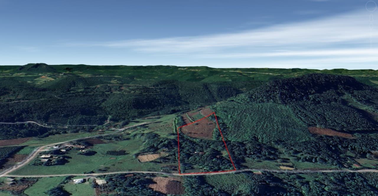 Foto 3 de 3: Area Rural em leilão em Gramado - RS — ÁREA DE 25.000m² EM GRAMADO/RS