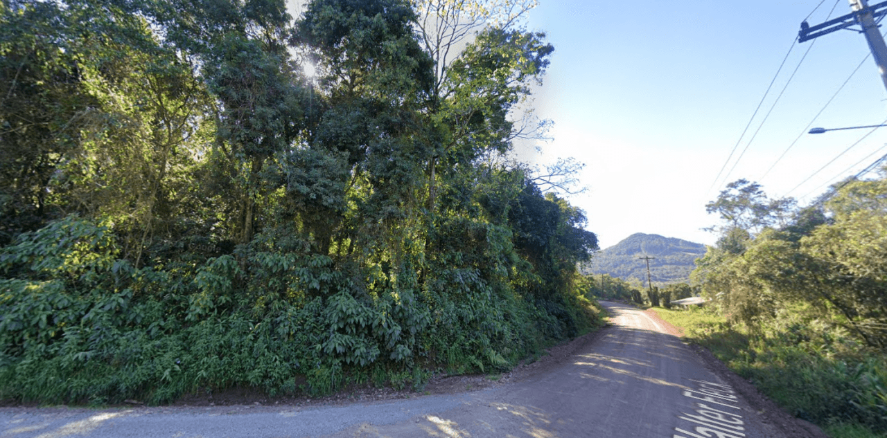 Foto 7 de 10: Area Rural em leilão em Santa Maria Do Herval - RS — ÁREA DE TERRAS DE 2.892,46m² EM SANTA MARIA DO HERVAL [ESTRADA WALACHAY]