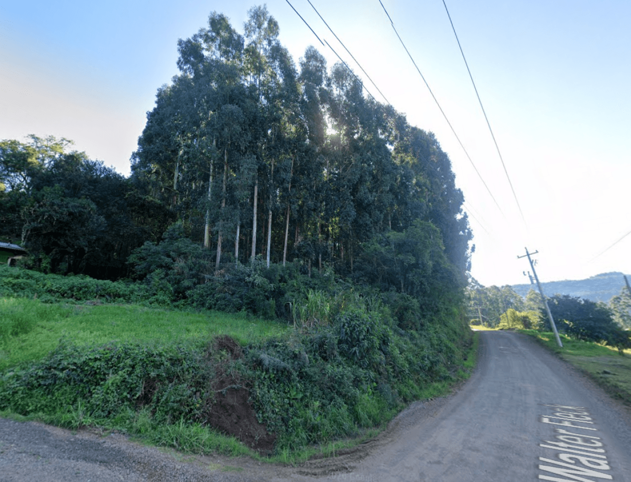 Foto 8 de 10: Area Rural em leilão em Santa Maria Do Herval - RS — ÁREA DE TERRAS DE 2.892,46m² EM SANTA MARIA DO HERVAL [ESTRADA WALACHAY]