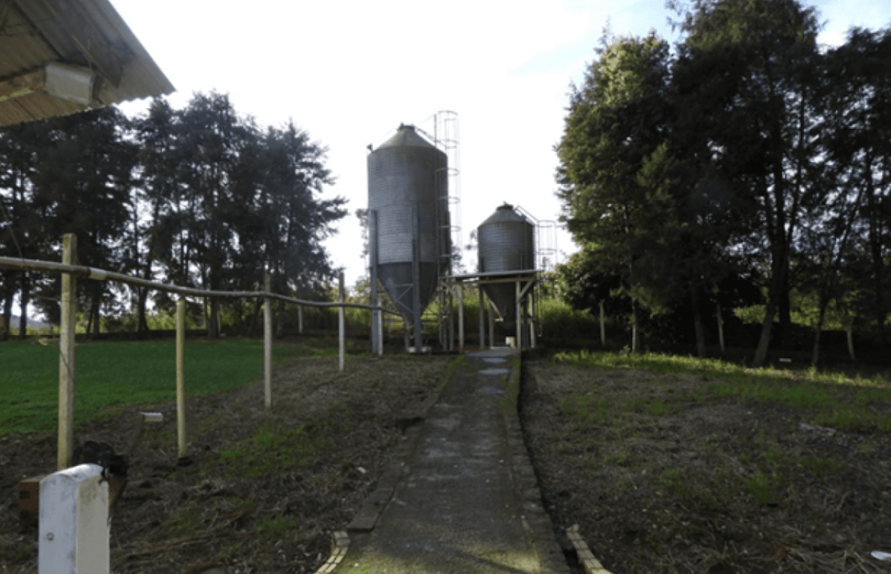Foto 11 de 17: Comercial em leilão em Brochier - RS — ÁREA DE 17.000M² COM GALPÕES AVIÁRIOS (DENTRO DE ÁREA MAIOR DE 37.037,22M²) EM MONTENEGRO/RS
