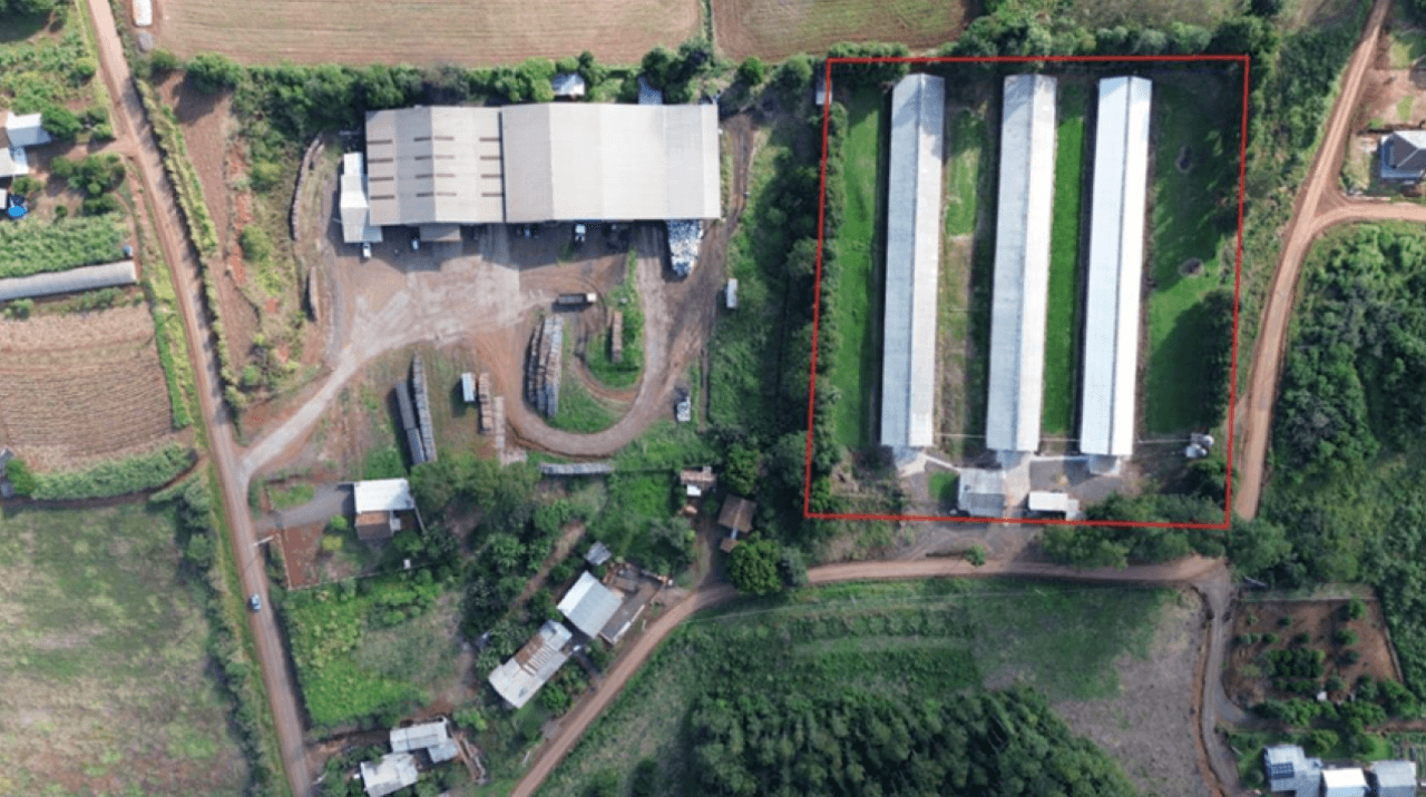 Foto 2 de 17: Comercial em leilão em Brochier - RS — ÁREA DE 17.000M² COM GALPÕES AVIÁRIOS (DENTRO DE ÁREA MAIOR DE 37.037,22M²) EM MONTENEGRO/RS