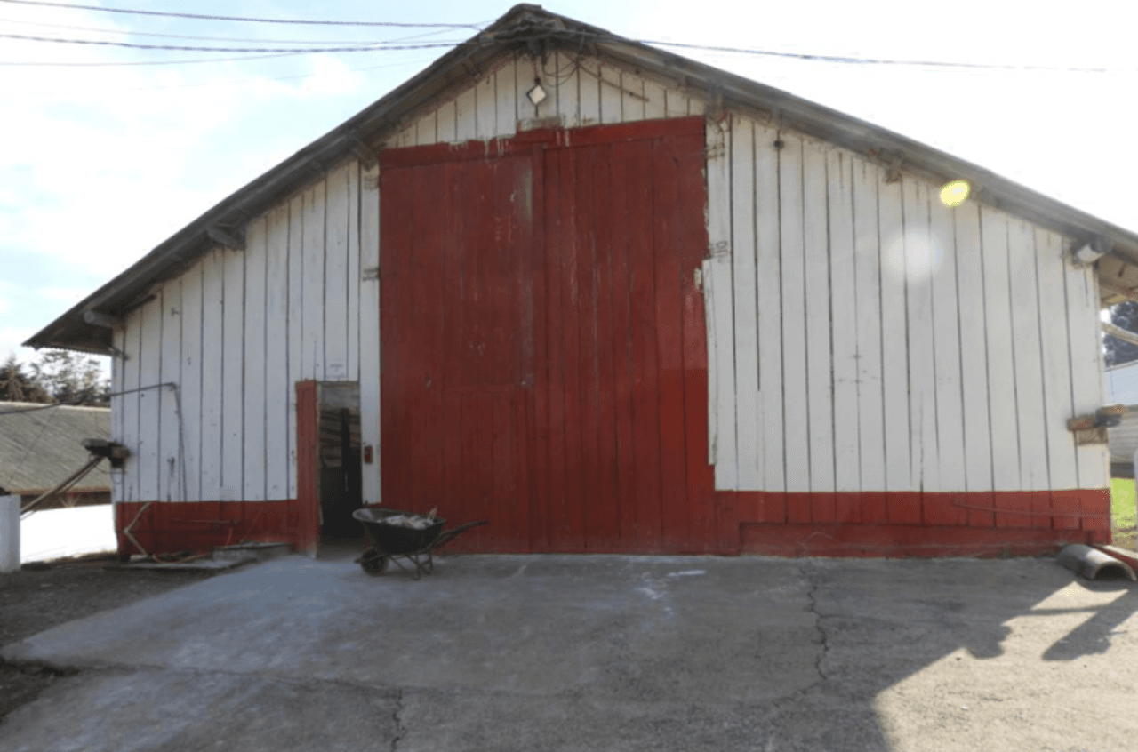 Foto 5 de 17: Comercial em leilão em Brochier - RS — ÁREA DE 17.000M² COM GALPÕES AVIÁRIOS (DENTRO DE ÁREA MAIOR DE 37.037,22M²) EM MONTENEGRO/RS