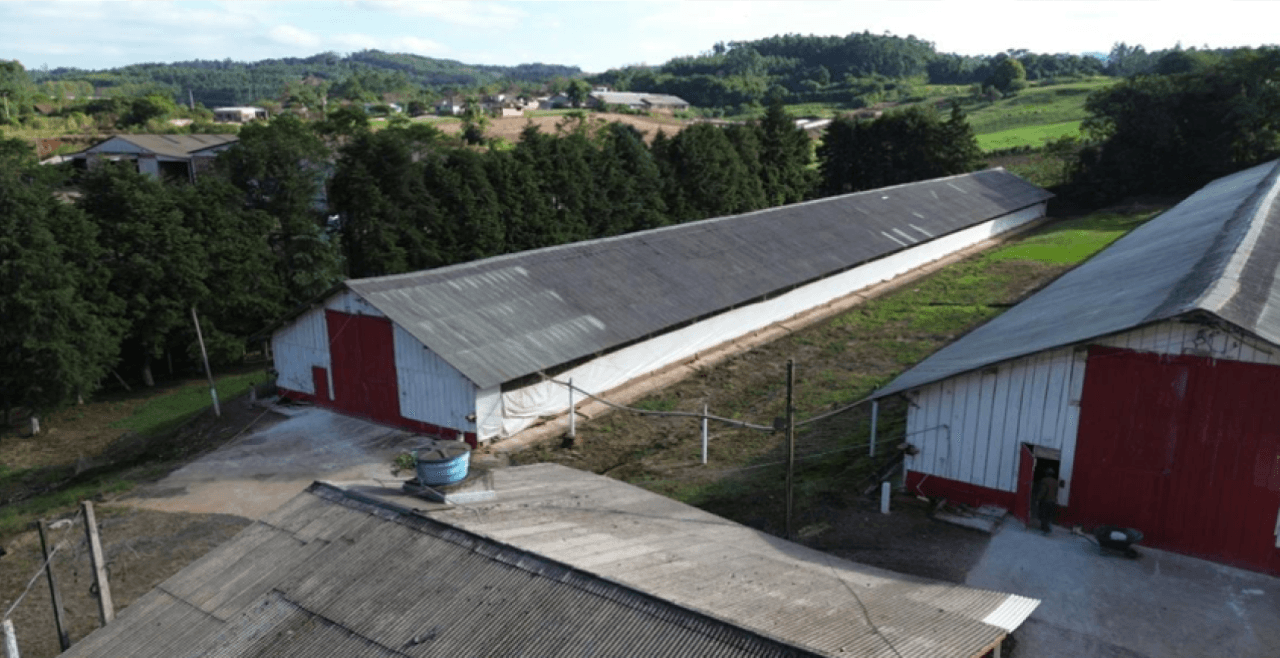 Foto 4 de 17: Comercial em leilão em Brochier - RS — ÁREA DE 17.000M² COM GALPÕES AVIÁRIOS (DENTRO DE ÁREA MAIOR DE 37.037,22M²) EM MONTENEGRO/RS
