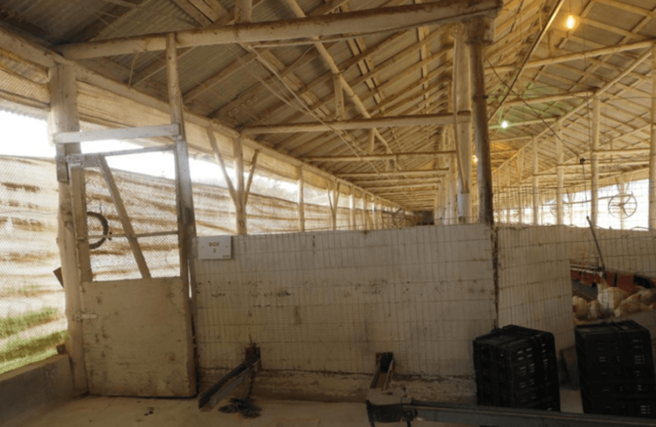 Foto 16 de 17: Comercial em leilão em Brochier - RS — ÁREA DE 17.000M² COM GALPÕES AVIÁRIOS (DENTRO DE ÁREA MAIOR DE 37.037,22M²) EM MONTENEGRO/RS