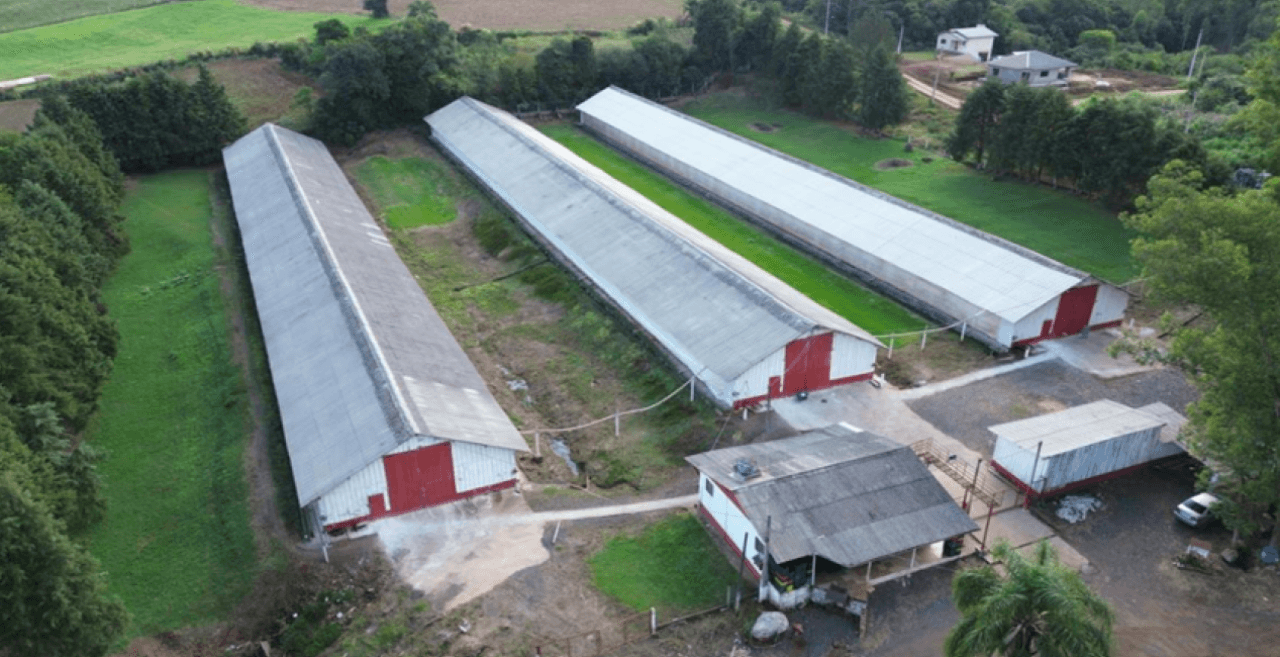 Foto 1 de 17: Comercial em leilão em Brochier - RS — ÁREA DE 17.000M² COM GALPÕES AVIÁRIOS (DENTRO DE ÁREA MAIOR DE 37.037,22M²) EM MONTENEGRO/RS