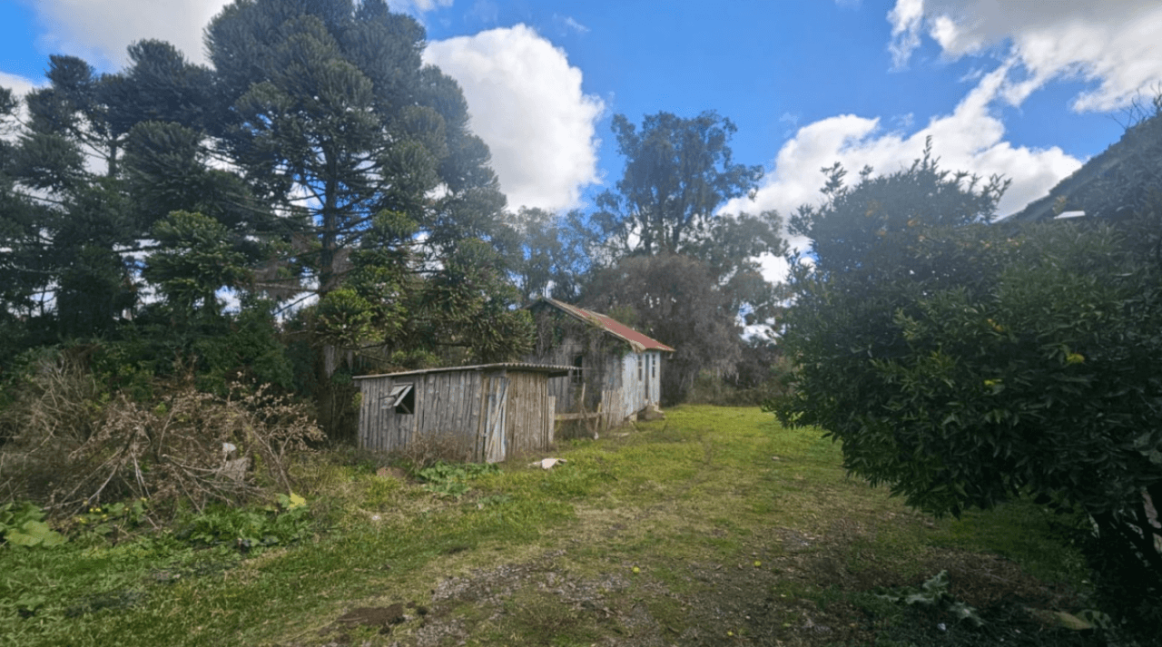 Foto 3 de 11: Area Rural em leilão em Caxias Do Sul - RS — LOTE ÚNICO — GRANDE ÁREA RURAL COM 108,5 HECTARES EM CRIÚVA, CAXIAS DO SUL/RS