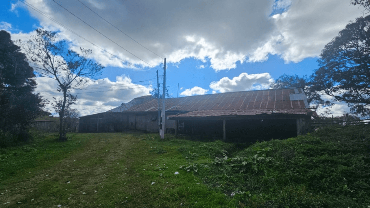 Foto 6 de 11: Area Rural em leilão em Caxias Do Sul - RS — LOTE ÚNICO — GRANDE ÁREA RURAL COM 108,5 HECTARES EM CRIÚVA, CAXIAS DO SUL/RS