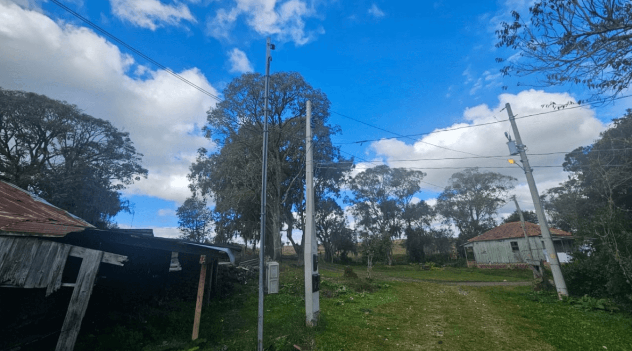Foto 4 de 11: Area Rural em leilão em Caxias Do Sul - RS — LOTE ÚNICO — GRANDE ÁREA RURAL COM 108,5 HECTARES EM CRIÚVA, CAXIAS DO SUL/RS