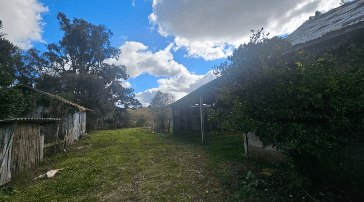 Foto 5 de 11: Area Rural em leilão em Caxias Do Sul - RS — LOTE ÚNICO — GRANDE ÁREA RURAL COM 108,5 HECTARES EM CRIÚVA, CAXIAS DO SUL/RS