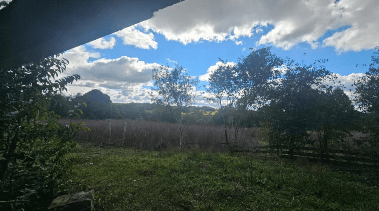 Foto 9 de 11: Area Rural em leilão em Caxias Do Sul - RS — LOTE ÚNICO — GRANDE ÁREA RURAL COM 108,5 HECTARES EM CRIÚVA, CAXIAS DO SUL/RS