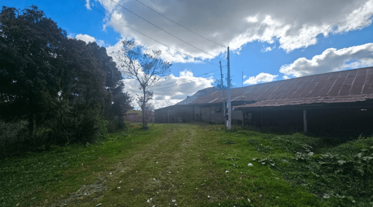 Foto 2 de 11: Area Rural em leilão em Caxias Do Sul - RS — LOTE ÚNICO — GRANDE ÁREA RURAL COM 108,5 HECTARES EM CRIÚVA, CAXIAS DO SUL/RS