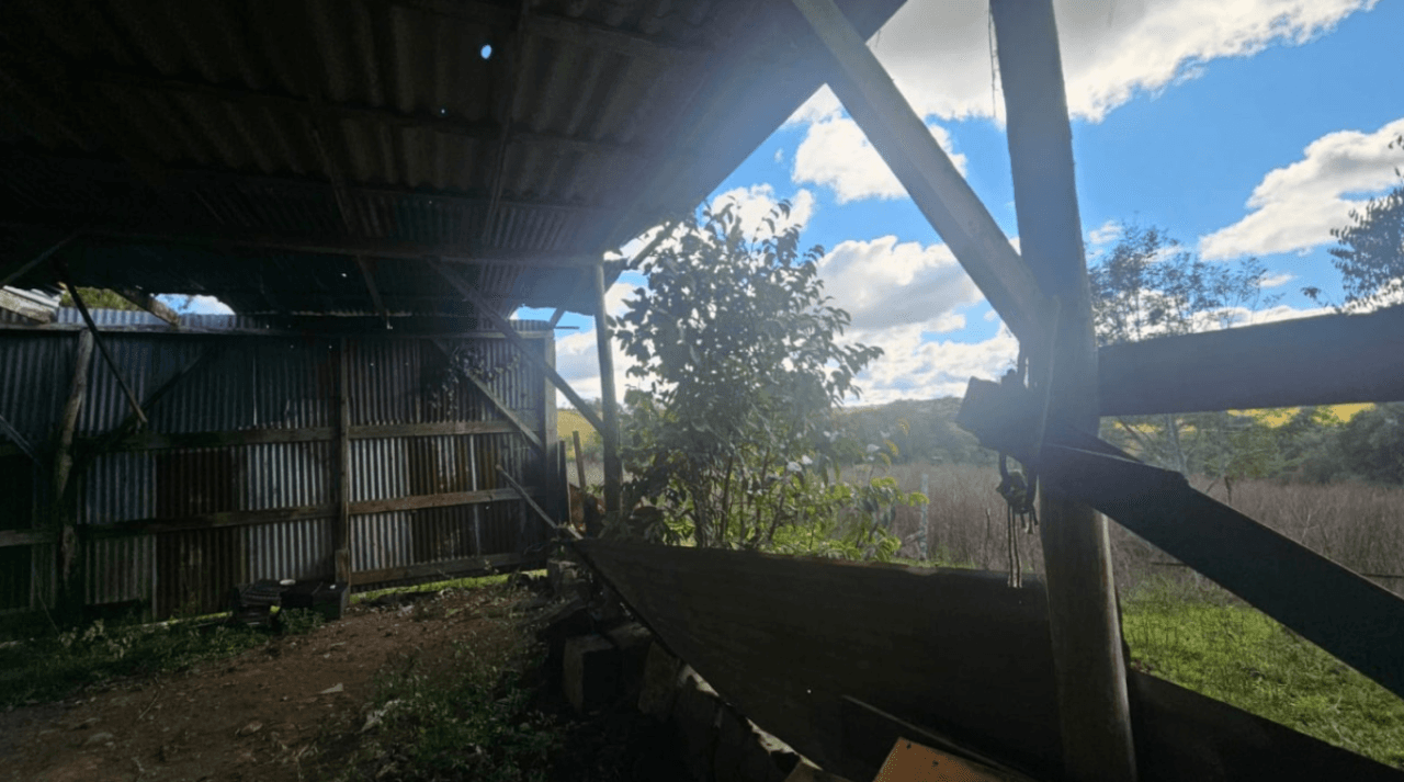 Foto 10 de 11: Area Rural em leilão em Caxias Do Sul - RS — LOTE ÚNICO — GRANDE ÁREA RURAL COM 108,5 HECTARES EM CRIÚVA, CAXIAS DO SUL/RS