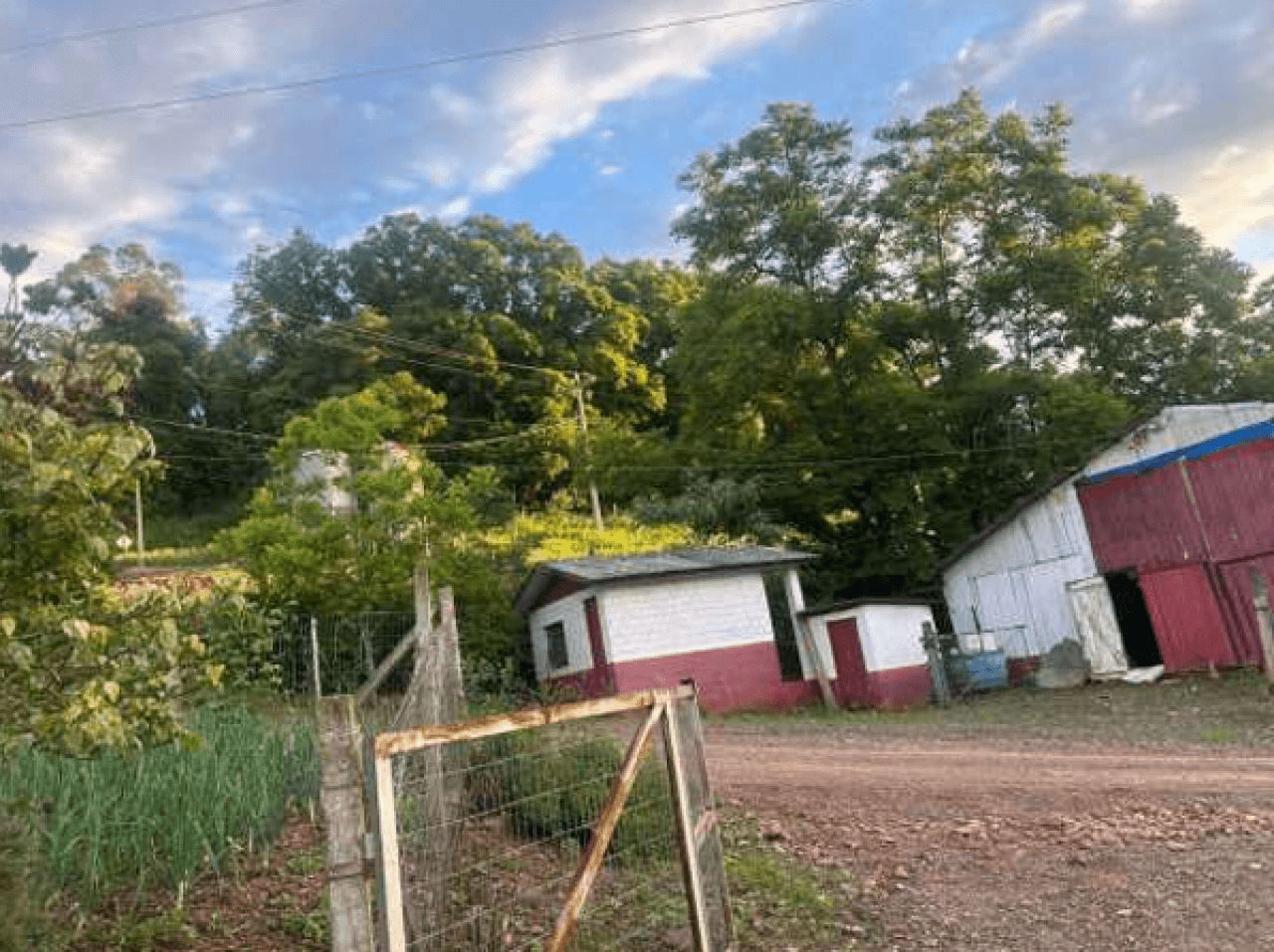 Foto 5 de 8: Area Rural em leilão em Encantado - RS — ÁREA DE TERRA RURAL COM 37.125,00M²