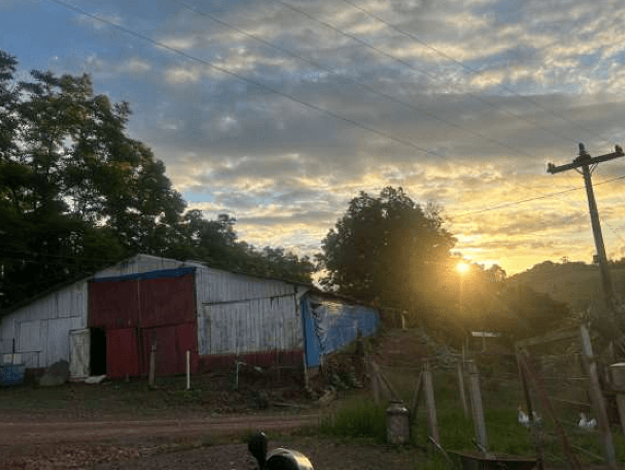 Foto 6 de 8: Area Rural em leilão em Encantado - RS — ÁREA DE TERRA RURAL COM 37.125,00M²