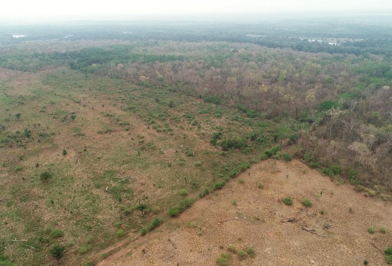 Area Rural em leilão em Vila Bela Da Santíssima Trindade - MT — Visitação Fazendas Mt