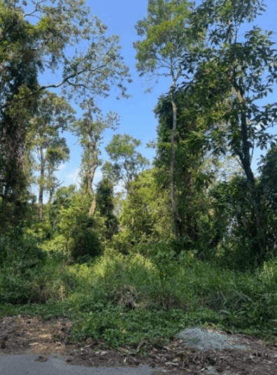 Foto 1 de 6: Terreno em leilão em Caieiras - SP, bairro Bairro Alto — Terreno 1075m² Jardim Planalto, Caieiras/SP