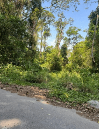 Foto 2 de 6: Terreno em leilão em Caieiras - SP, bairro Bairro Alto — Terreno 1075m² Jardim Planalto, Caieiras/SP