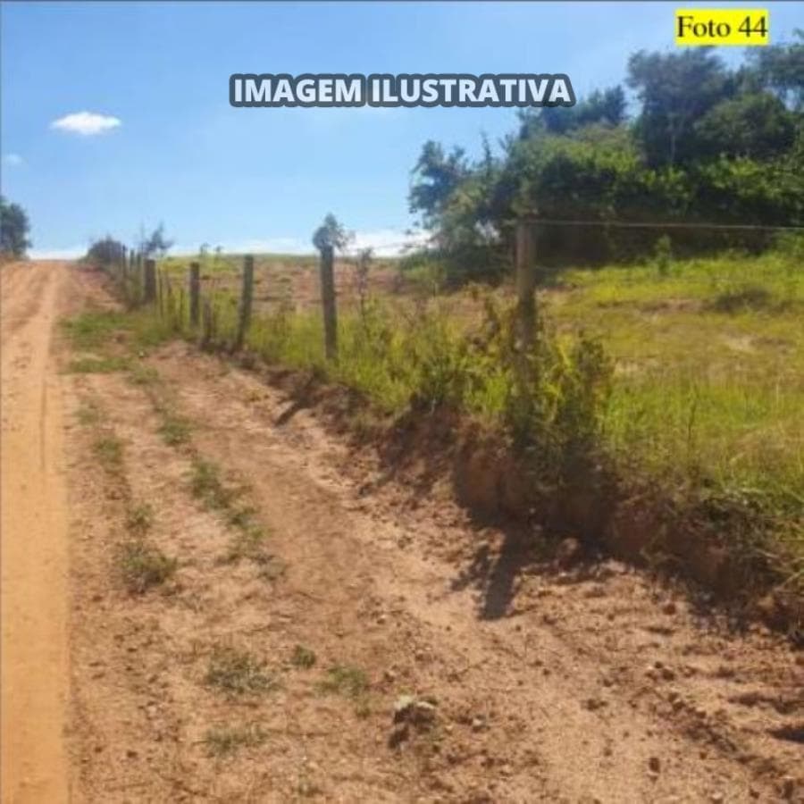 Foto 3 de 28: Area Rural em leilão em Potirendaba - SP — 2 SÍTIO 8,40 alq/20,342596 ha - Potirendaba-SP (11,1111%)