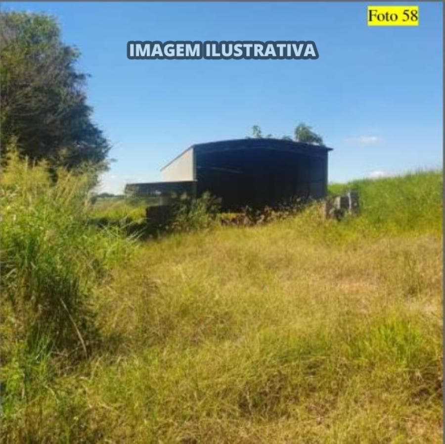 Foto 17 de 28: Area Rural em leilão em Potirendaba - SP — 2 SÍTIO 8,40 alq/20,342596 ha - Potirendaba-SP (11,1111%)