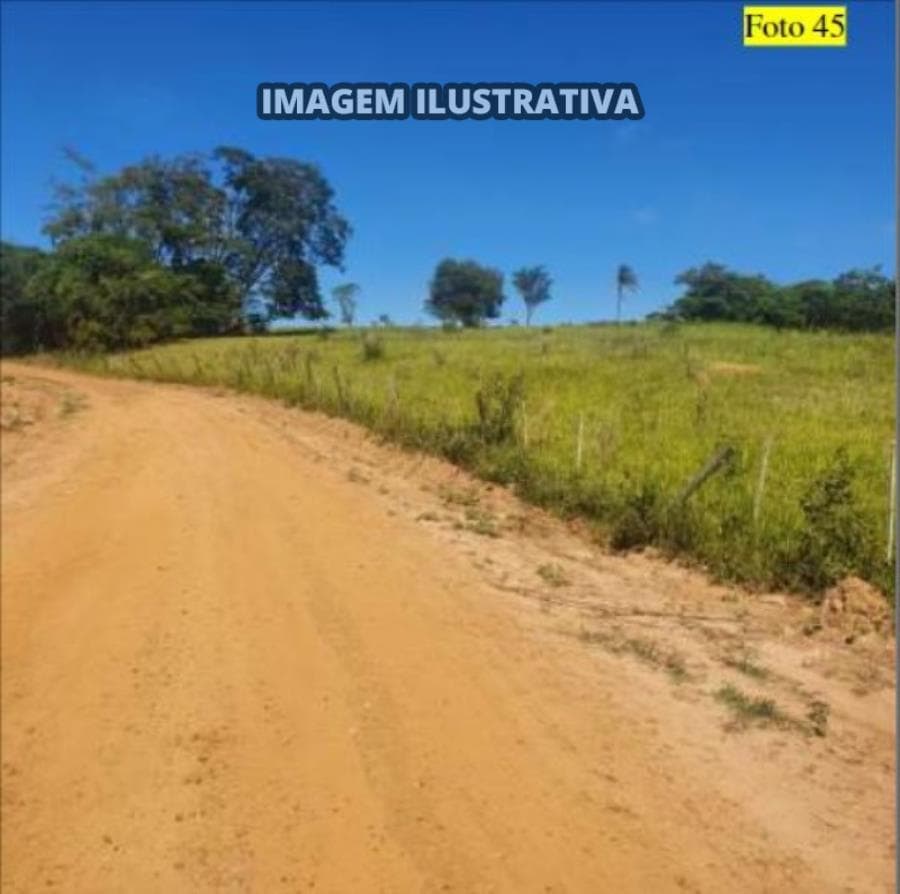 Foto 4 de 28: Area Rural em leilão em Potirendaba - SP — 2 SÍTIO 8,40 alq/20,342596 ha - Potirendaba-SP (11,1111%)