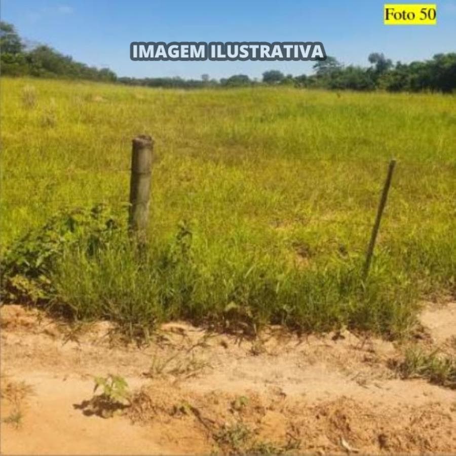 Foto 9 de 28: Area Rural em leilão em Potirendaba - SP — 2 SÍTIO 8,40 alq/20,342596 ha - Potirendaba-SP (11,1111%)