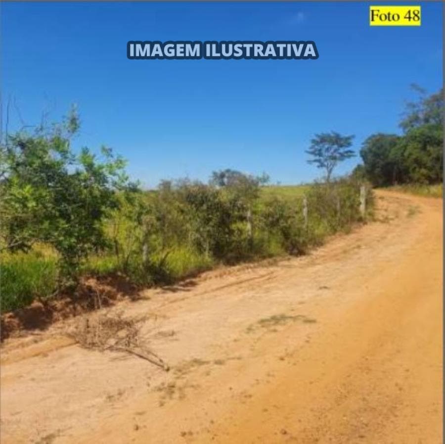 Foto 7 de 28: Area Rural em leilão em Potirendaba - SP — 2 SÍTIO 8,40 alq/20,342596 ha - Potirendaba-SP (11,1111%)
