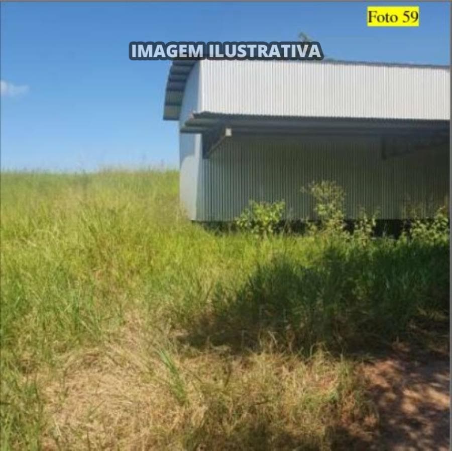 Foto 18 de 28: Area Rural em leilão em Potirendaba - SP — 2 SÍTIO 8,40 alq/20,342596 ha - Potirendaba-SP (11,1111%)