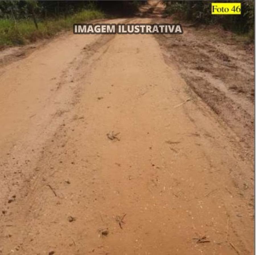 Foto 5 de 28: Area Rural em leilão em Potirendaba - SP — 2 SÍTIO 8,40 alq/20,342596 ha - Potirendaba-SP (11,1111%)
