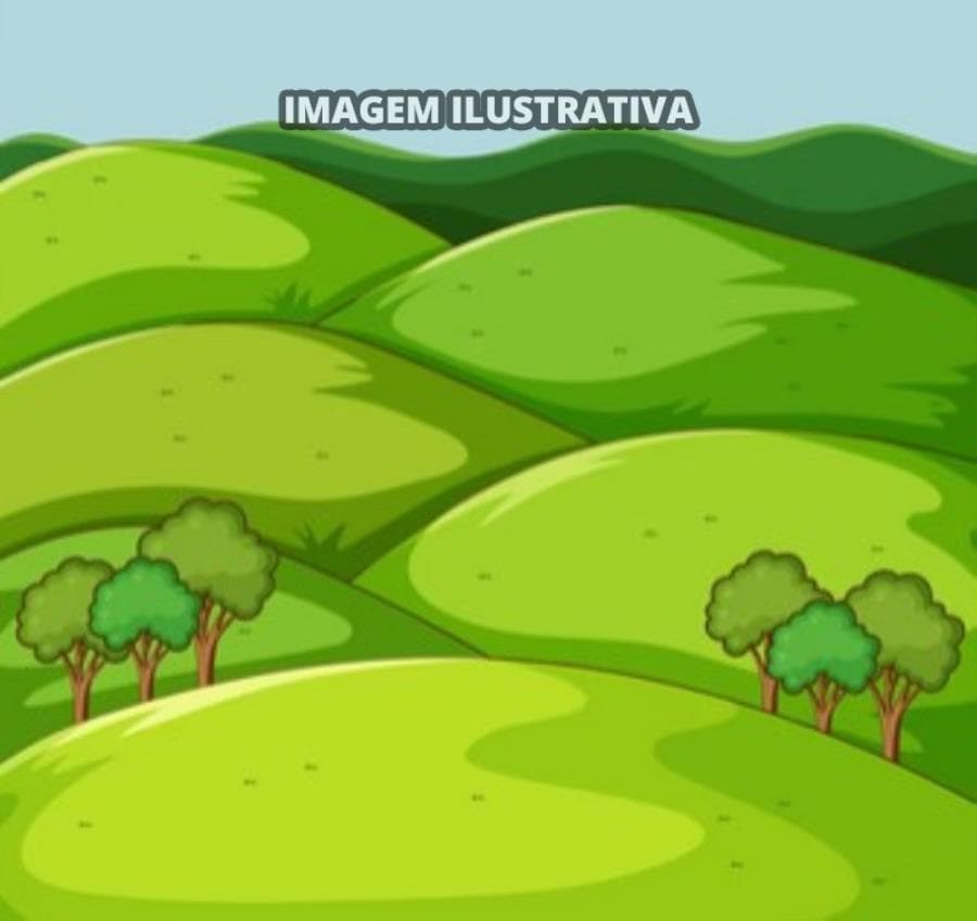 Area Rural em leilão em Itabaianinha - SE, bairro Zona Rural — 2 Sítio Itapicuru - 5,103 hectares - Itabaianinha/SE