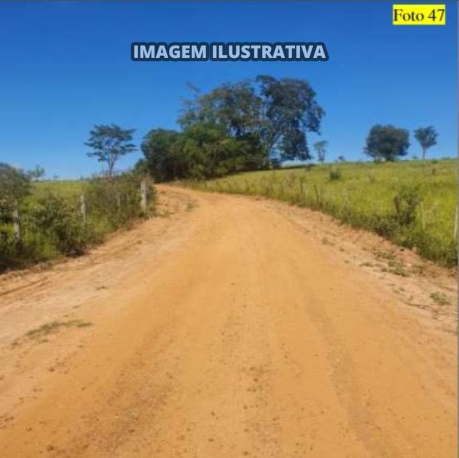 Foto 6 de 28: Area Rural em leilão em Potirendaba - SP — 2 SÍTIO 8,40 alq/20,342596 ha - Potirendaba-SP (11,1111%)
