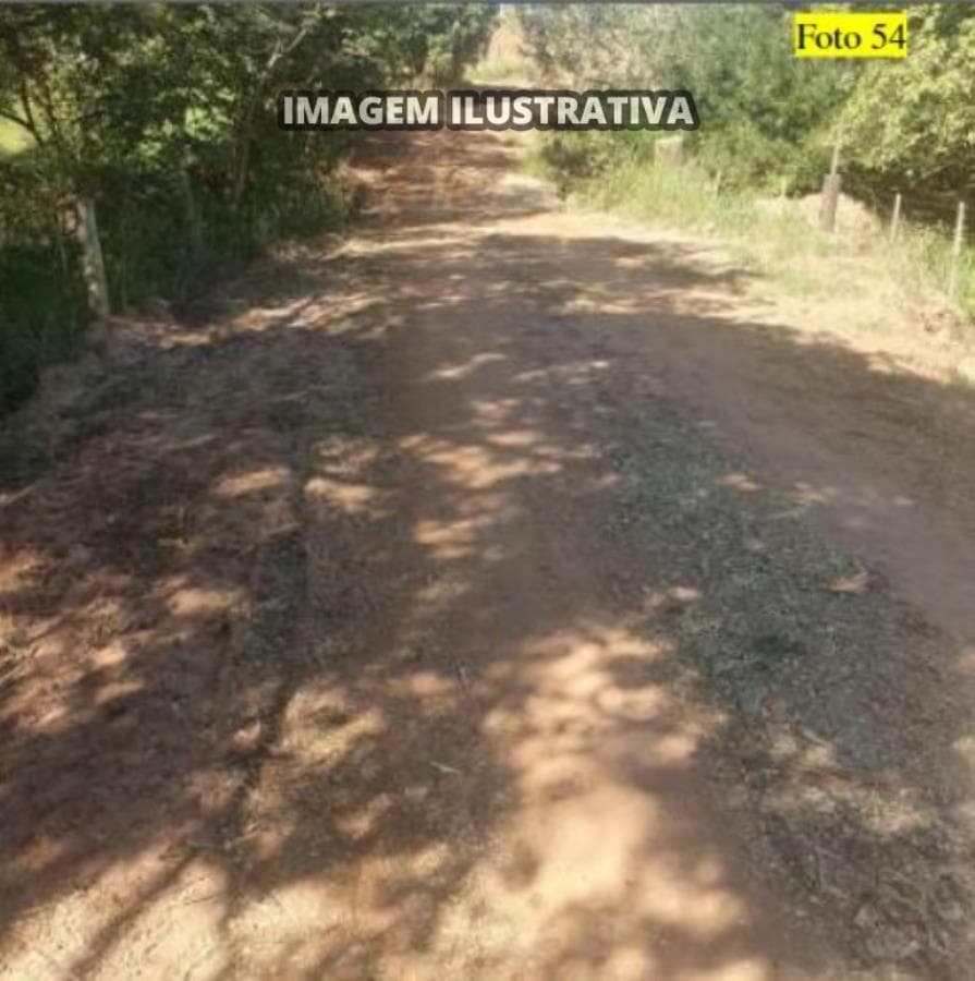 Foto 13 de 28: Area Rural em leilão em Potirendaba - SP — 2 SÍTIO 8,40 alq/20,342596 ha - Potirendaba-SP (11,1111%)