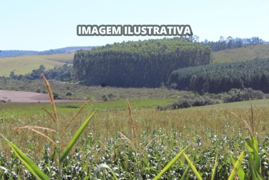 Foto 2 de 4: Area Rural em leilão em Itapeva - SP, bairro Enxovia e Morro Cavado — SÍTIO CAPIM FINO - 20 alq/48,6 ha - Itapeva-SP (50%) SÍTIO CAPIM FINO - 20 alq/48,6 ha - Itapeva-SP (50%)