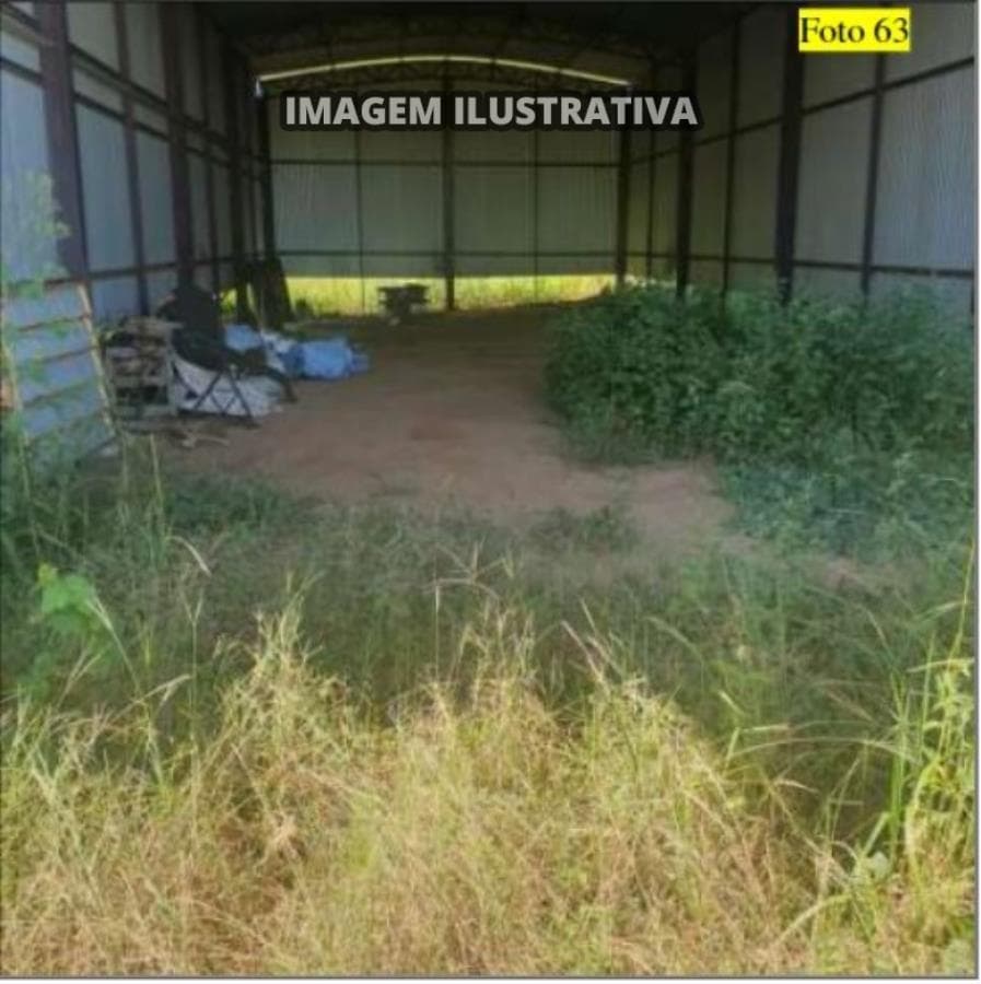 Foto 22 de 28: Area Rural em leilão em Potirendaba - SP — 2 SÍTIO 8,40 alq/20,342596 ha - Potirendaba-SP (11,1111%)
