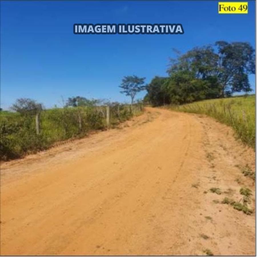 Foto 8 de 28: Area Rural em leilão em Potirendaba - SP — 2 SÍTIO 8,40 alq/20,342596 ha - Potirendaba-SP (11,1111%)