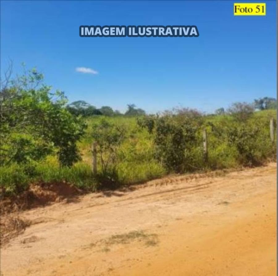 Foto 10 de 28: Area Rural em leilão em Potirendaba - SP — 2 SÍTIO 8,40 alq/20,342596 ha - Potirendaba-SP (11,1111%)