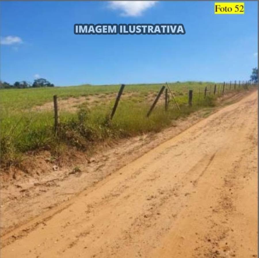 Foto 11 de 28: Area Rural em leilão em Potirendaba - SP — 2 SÍTIO 8,40 alq/20,342596 ha - Potirendaba-SP (11,1111%)
