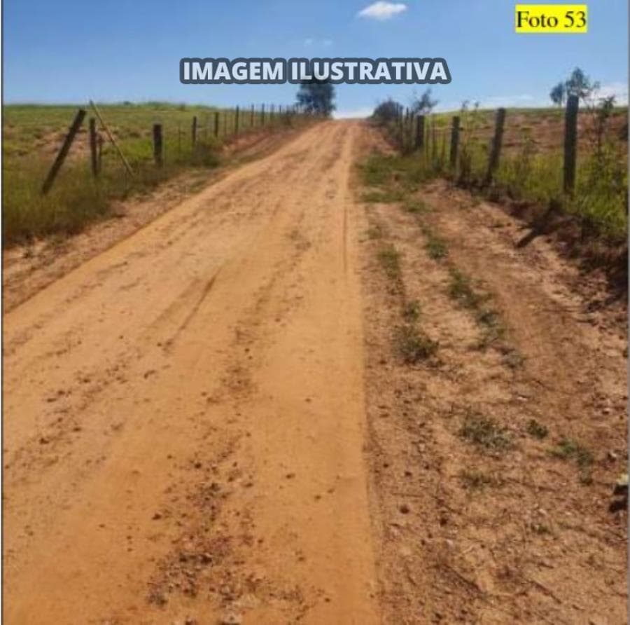 Foto 12 de 28: Area Rural em leilão em Potirendaba - SP — 2 SÍTIO 8,40 alq/20,342596 ha - Potirendaba-SP (11,1111%)
