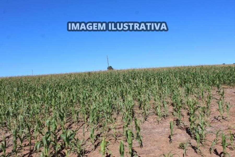 Foto 3 de 4: Area Rural em leilão em Itapeva - SP, bairro Enxovia e Morro Cavado — SÍTIO CAPIM FINO - 20 alq/48,6 ha - Itapeva-SP (50%) SÍTIO CAPIM FINO - 20 alq/48,6 ha - Itapeva-SP (50%)