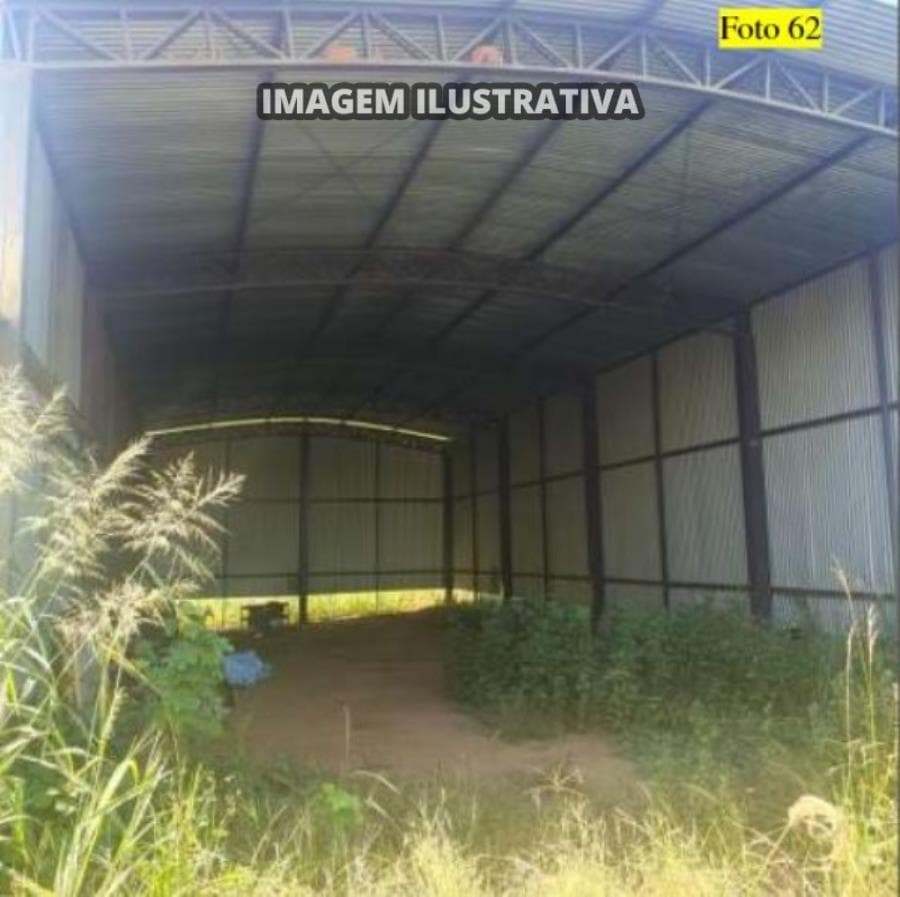 Foto 21 de 28: Area Rural em leilão em Potirendaba - SP — 2 SÍTIO 8,40 alq/20,342596 ha - Potirendaba-SP (11,1111%)