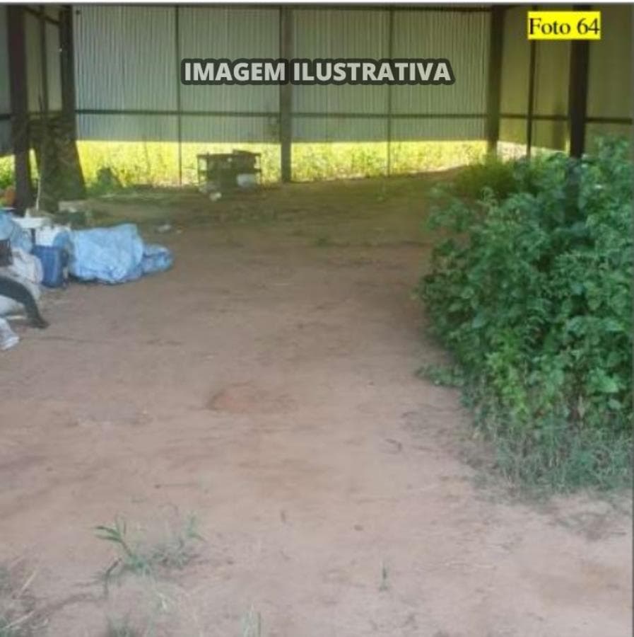 Foto 23 de 28: Area Rural em leilão em Potirendaba - SP — 2 SÍTIO 8,40 alq/20,342596 ha - Potirendaba-SP (11,1111%)