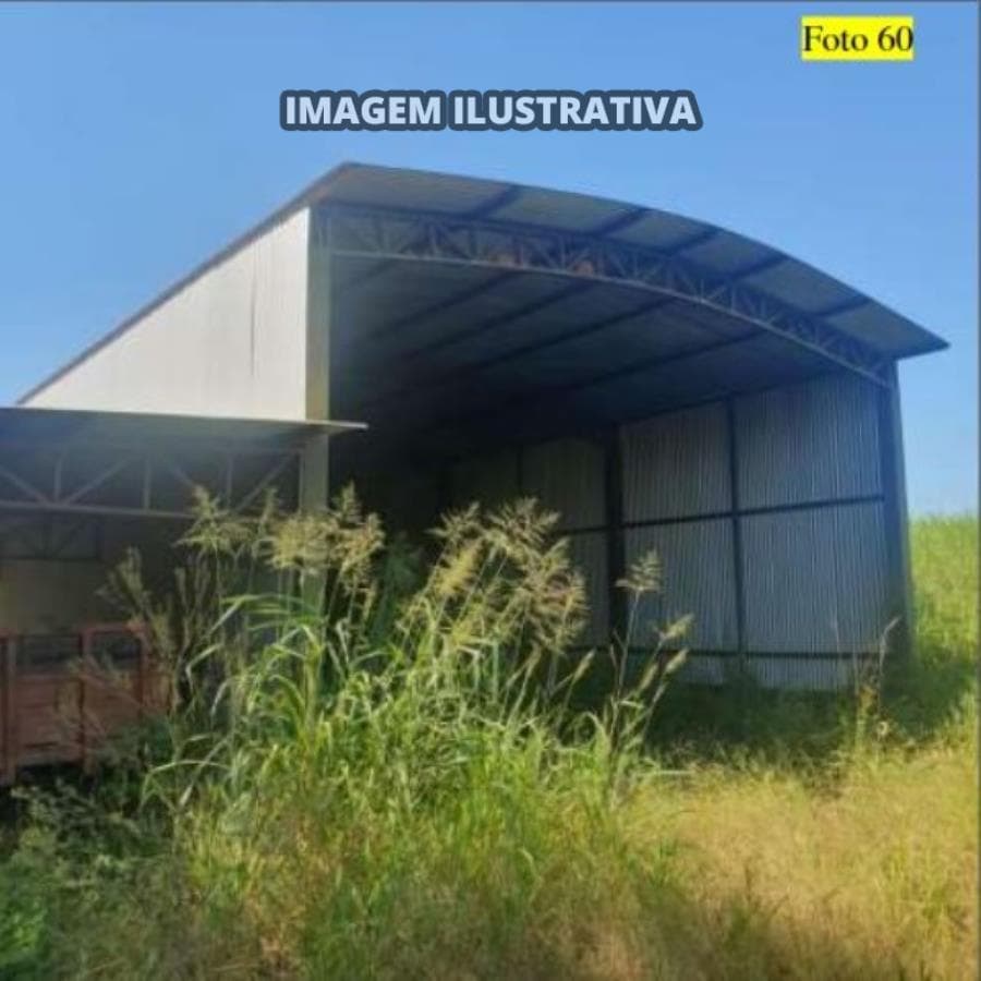 Foto 19 de 28: Area Rural em leilão em Potirendaba - SP — 2 SÍTIO 8,40 alq/20,342596 ha - Potirendaba-SP (11,1111%)
